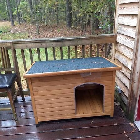 Rustic Quaint Cabin In The Woods--Pets Welcomed Dunnsville Bagian luar foto