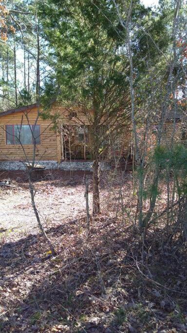 Rustic Quaint Cabin In The Woods--Pets Welcomed Dunnsville Bagian luar foto