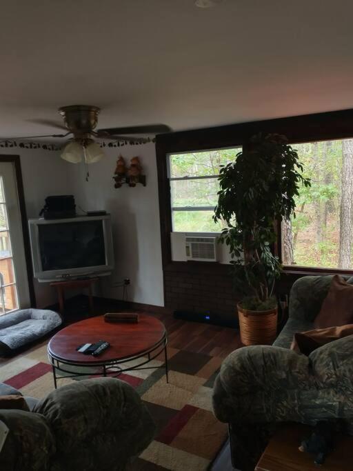 Rustic Quaint Cabin In The Woods--Pets Welcomed Dunnsville Bagian luar foto