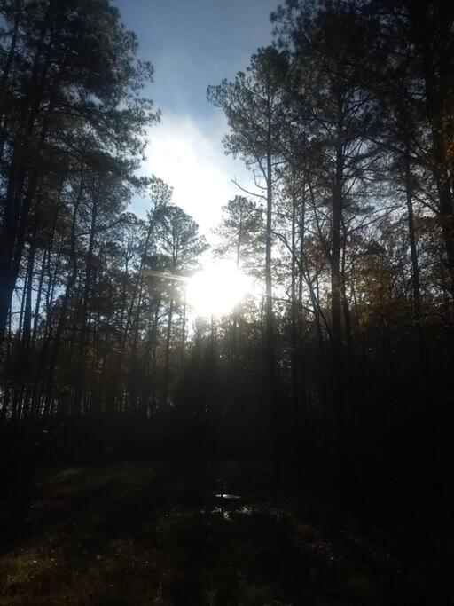 Rustic Quaint Cabin In The Woods--Pets Welcomed Dunnsville Bagian luar foto