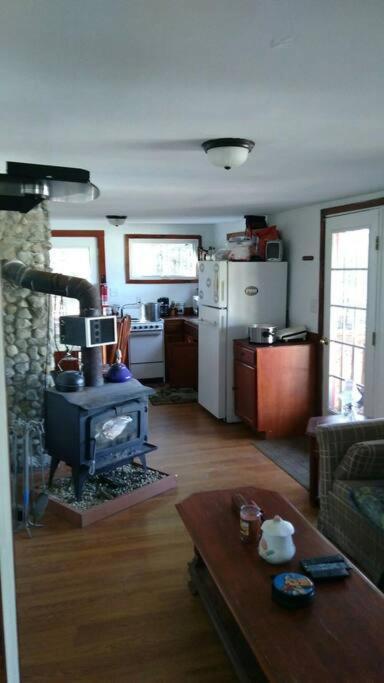 Rustic Quaint Cabin In The Woods--Pets Welcomed Dunnsville Bagian luar foto