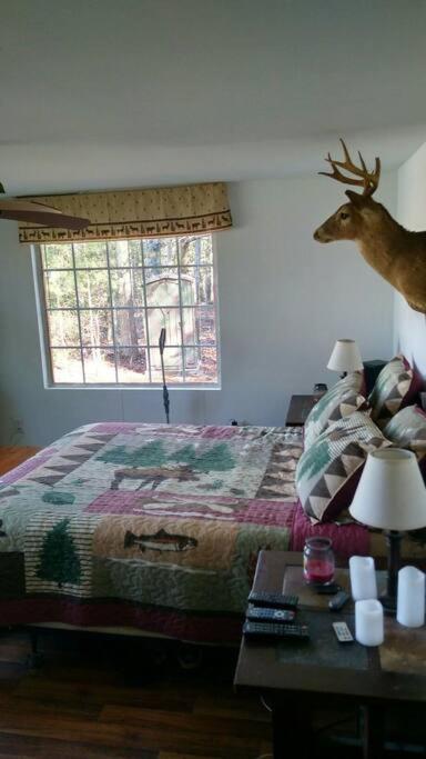 Rustic Quaint Cabin In The Woods--Pets Welcomed Dunnsville Bagian luar foto